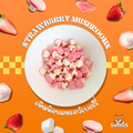 Single Flavor Pack | Swedish Candy by Swedies™ - Swedies